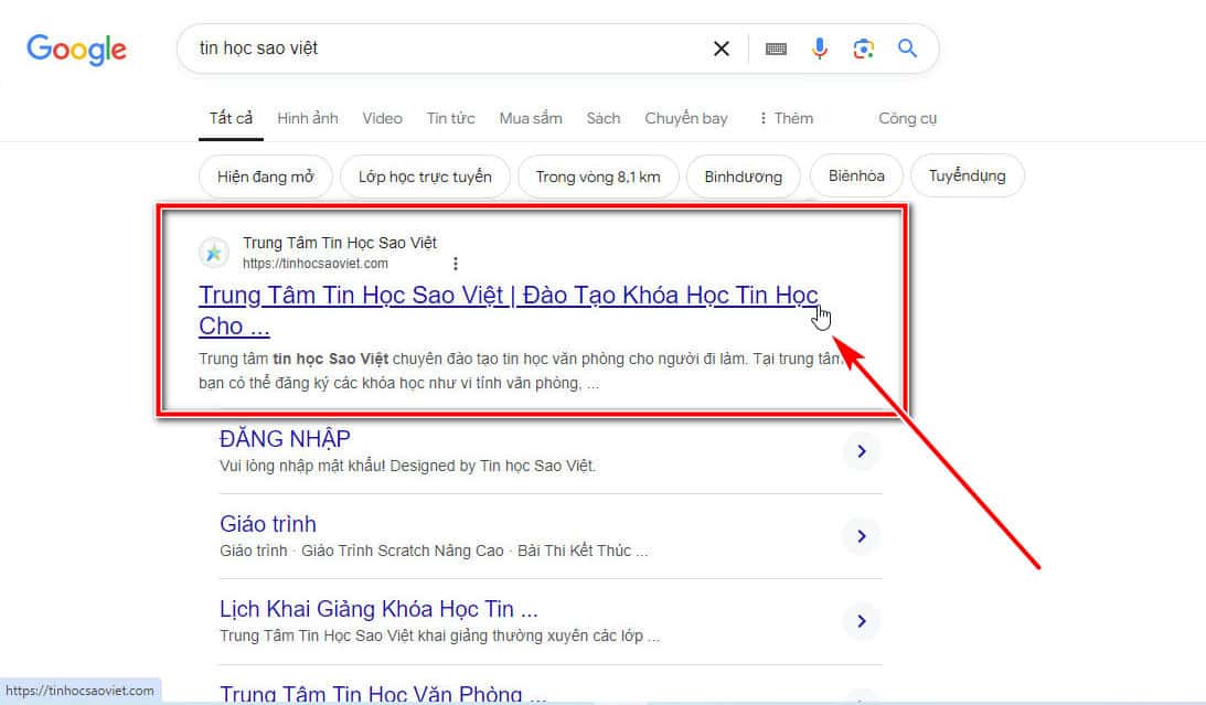 Bước 2 Chọn Website Tinhocsaoviet.com